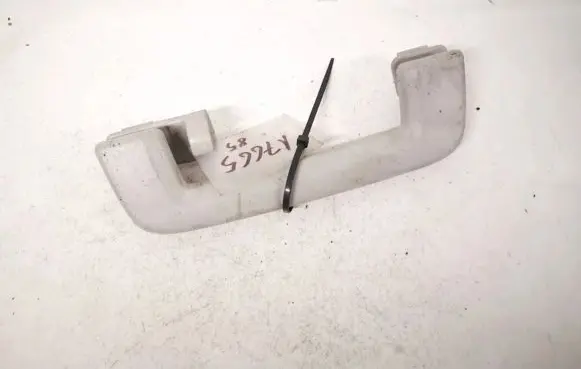 Ford Focus Rear interior roof grab handle