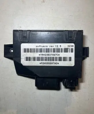 Chrysler Town & Country IV Door control unit/module P04686687A0 TRH23037497C