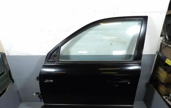 Hyundai Tucson JM Front door