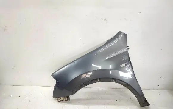Nissan Qashqai+2 Fender