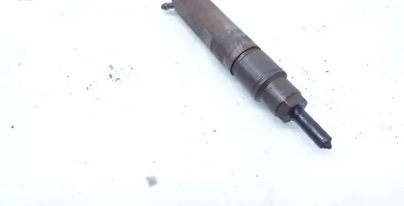 Volkswagen PASSAT B5 Fuel injector 028130201T