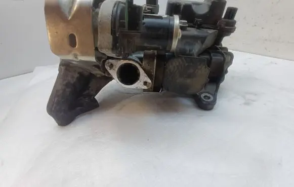 EGR valve