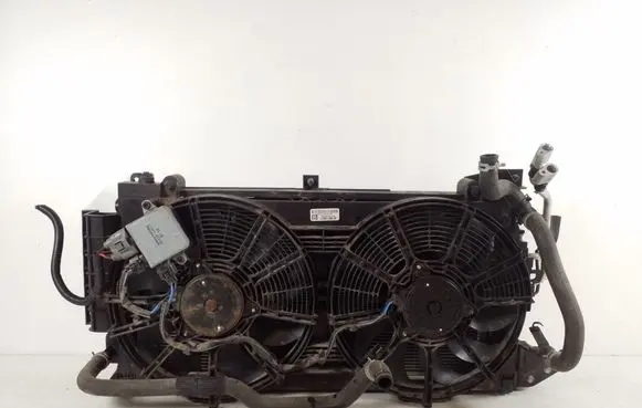 Nissan Leaf I (ZE0) Radiator set 