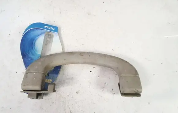 Front interior roof grab handle