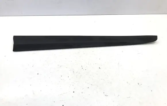 Front door trim (molding)