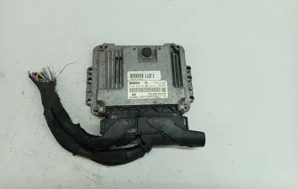 Hyundai i40 Engine control unit/module 39125-2A220 0281019572 391202A220