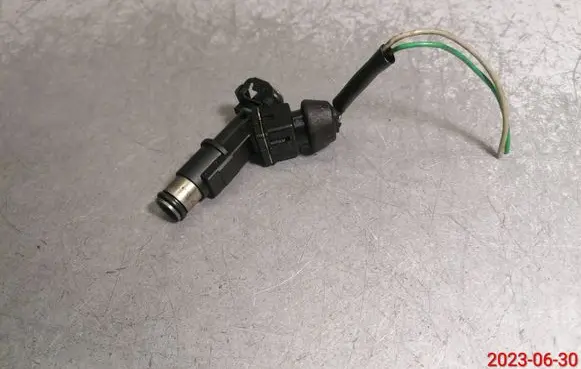 Citroen Xsara Picasso Fuel injector 01F005A 18701
