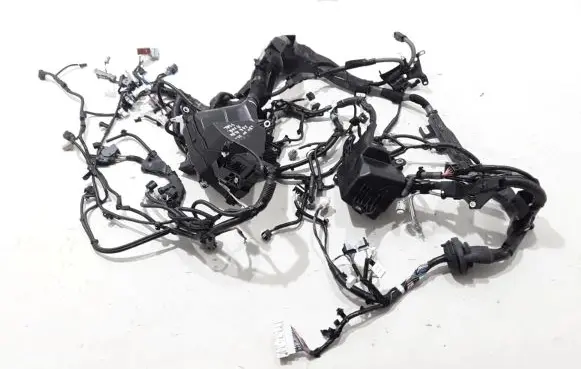 Lexus NX Other wiring loom 8211178G20