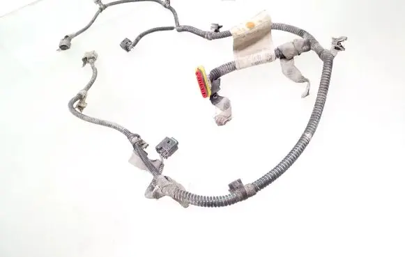 Parking sensor (PDC) wiring loom
