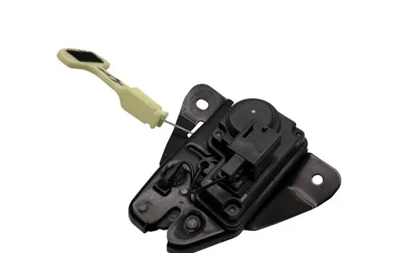 Dodge Charger Loading door lock 14119217AF