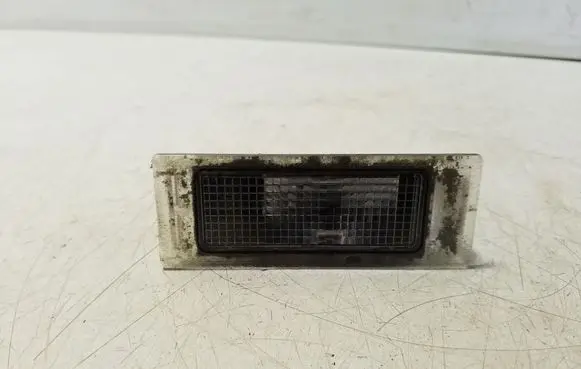 MG ZS Number plate light 10415838