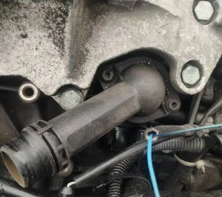 Volkswagen PASSAT B5.5 Engine coolant pipe/hose