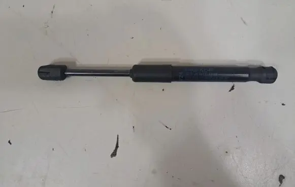 Front bonnet/hood damper/strut