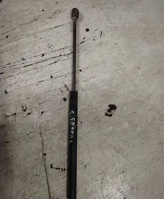 Opel Signum Tailgate/trunk strut/damper 13191401