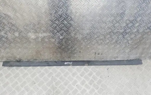 Front door trim (molding)