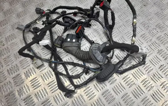 Ford Mustang VI Front door wiring loom FR3T14631AF FR3T14631