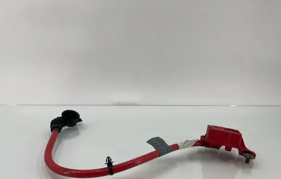 BMW 5 F10 F11 Positive cable (battery) 9217036 EEZ17Z