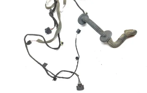 Rear door wiring loom