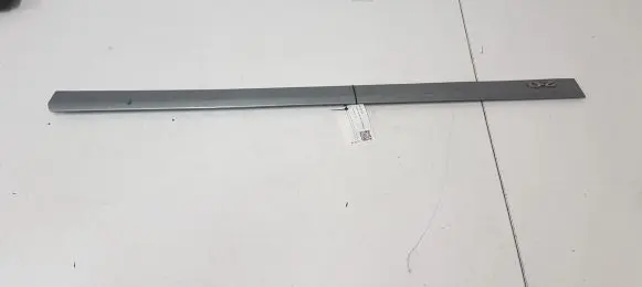 Front door trim (molding)