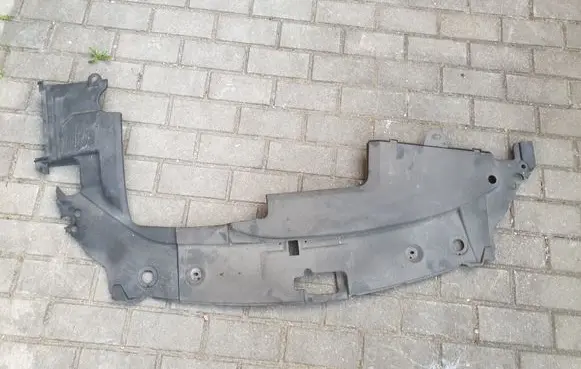 Engine bonnet/hood lock trim molding
