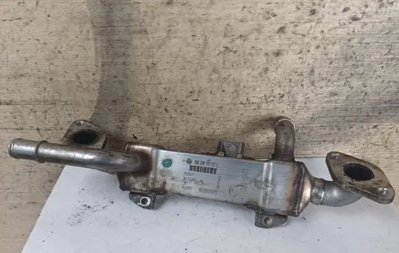 Ford Galaxy EGR valve cooler 038131513L