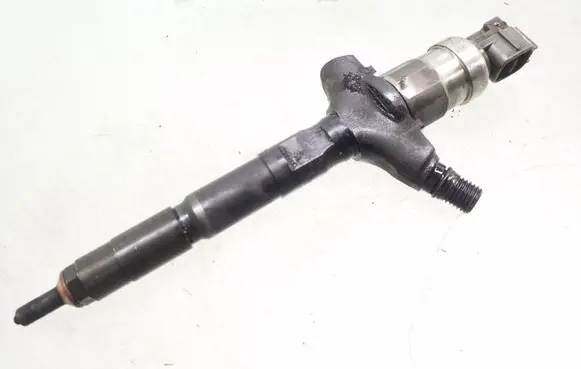 Opel Signum Fuel injector 8972391617