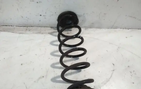 Volkswagen Golf VI Rear coil spring