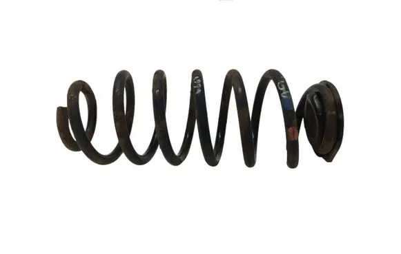 Rear coil spring