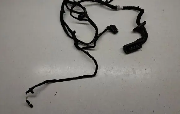 Rear door wiring loom