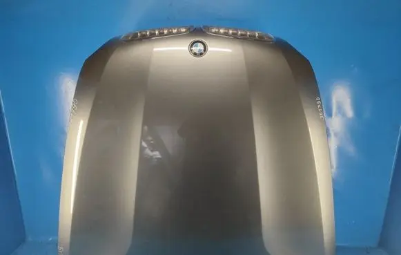 BMW X5 E70 Engine bonnet/hood 41617486754