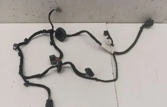 Rear door wiring loom