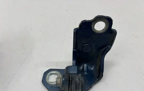 Rear door lower hinge