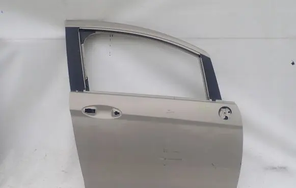 Ford B-MAX Front door