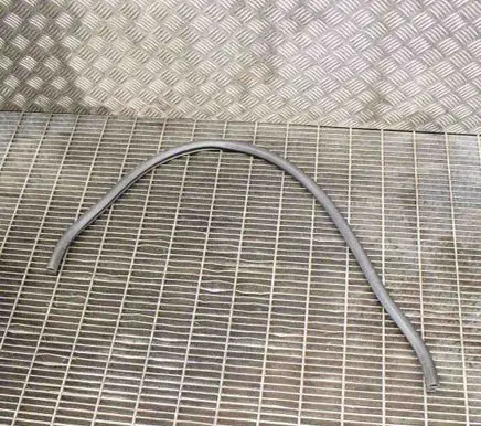 Chevrolet Volt I Engine compartment rubber 