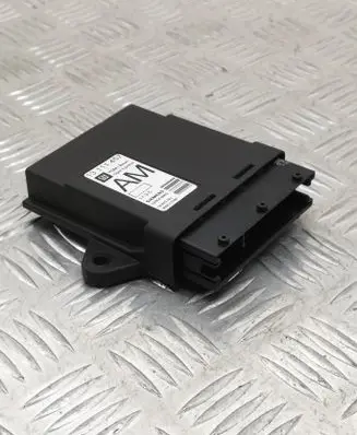 Opel Signum Door control unit/module 13111457 360572197 5WK46002