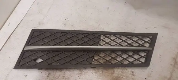 BMW 5 F10 F11 Front bumper lower grill 720069909