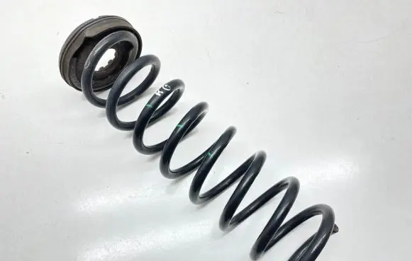 Ford Kuga II Rear coil spring