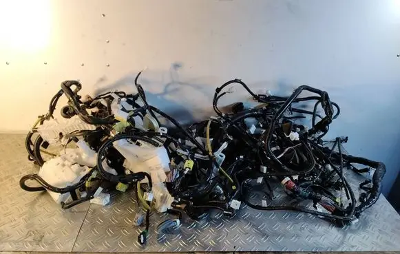 Lexus IS III XE30 Other wiring loom 8216253D31J2 8216253D31J 8216153C01G