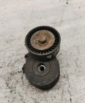 Peugeot 406 Generator/alternator belt tensioner