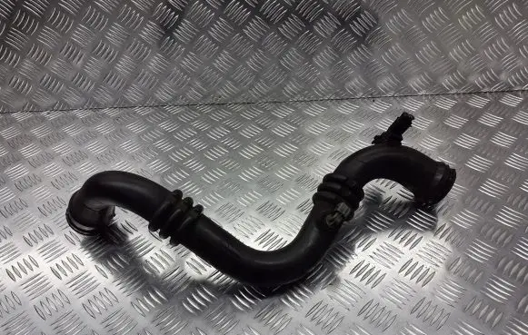 Renault Laguna II Air intake hose/pipe 8200295043