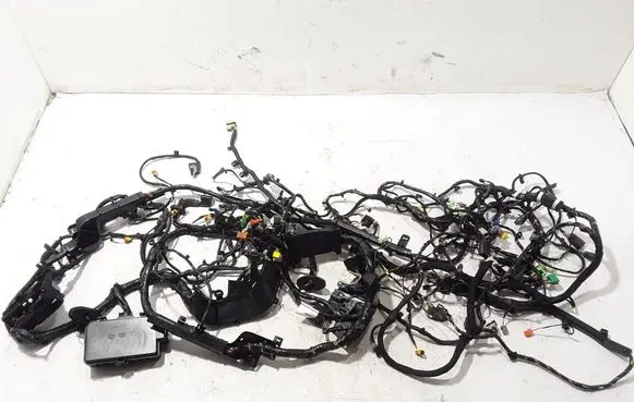 Polestar 2 Wiring harness 32316013