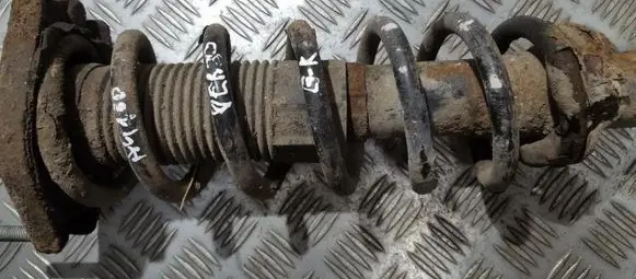 Toyota Corolla Verso AR10 Rear coil spring