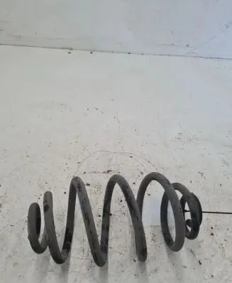 Volkswagen PASSAT B5 Rear coil spring