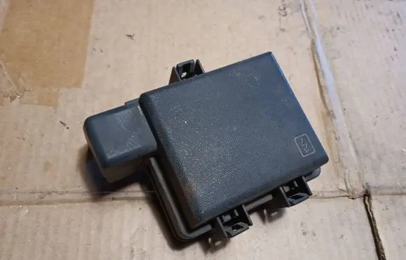 Renault Megane III Fuse box cover 243820003r