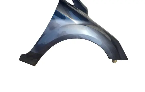Ford Focus Fender
