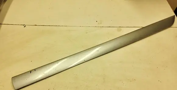 Rear door trim (molding)