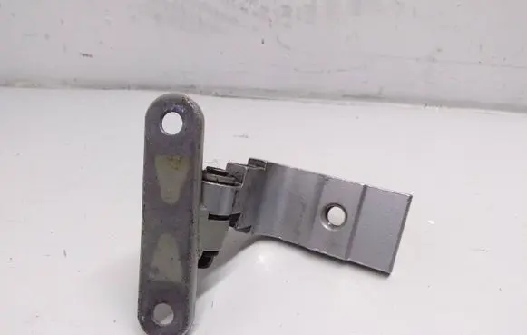 BMW 5 F10 F11 Rear door lower hinge 7185635