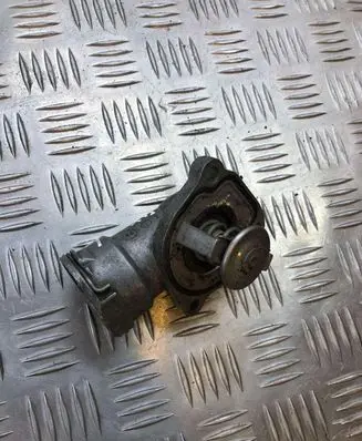 Thermostat/thermostat housing