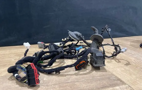 Jaguar F-Pace Front door wiring loom JK8314631DNB A50262442