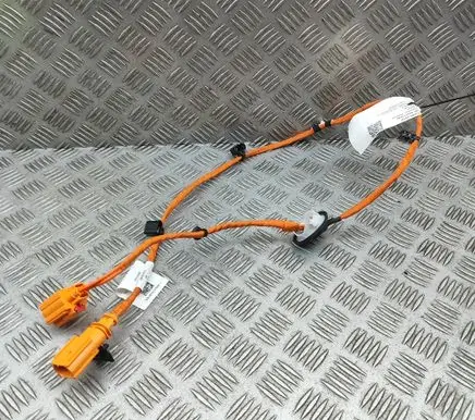 Volkswagen ID.4 Other wiring loom 1EA971475F